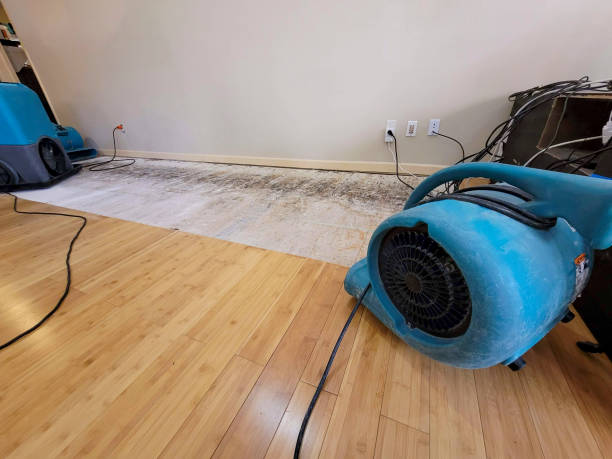 Professional Structural Drying technician working in Arapahoe, NE